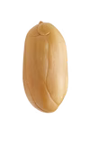 1000295528.png